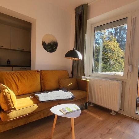 Ferienwohnung Berglodge 11 Hahnenklee Bockswiese Goslar Dış mekan fotoğraf